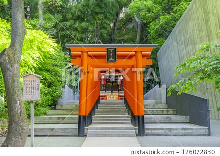 A row of torii gates at the Inari Shrine located within the grounds of Ikuta Shrine 126022830