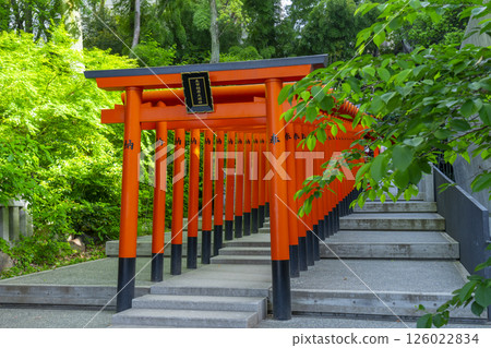 A row of torii gates at the Inari Shrine located within the grounds of Ikuta Shrine A row of torii gates at the Inari Shrine located within the grounds of Ikuta Shrine 126022834