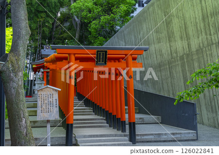 A row of torii gates at the Inari Shrine located within the grounds of Ikuta Shrine A row of torii gates at the Inari Shrine located within the grounds of Ikuta Shrine 126022841