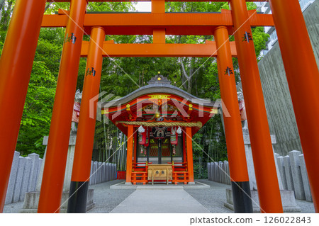 A row of torii gates at the Inari Shrine located within the grounds of Ikuta Shrine A row of torii gates at the Inari Shrine located within the grounds of Ikuta Shrine 126022843