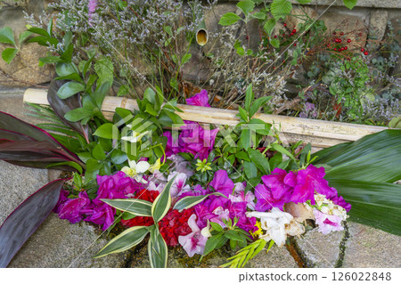 Ikuta Shrine Chozuya Ikuta Shrine Chozuya 126022848