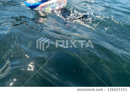 baby boy, boy, blue water 126023353