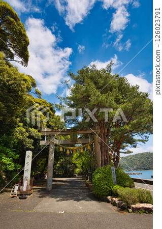 Tsunemiya Shrine with fresh greenery 126023791