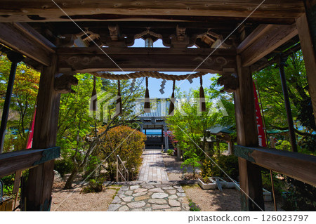 綠意盎然的常宮神社 綠意盎然的常宮神社 126023797