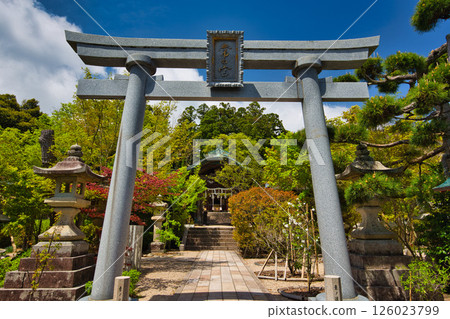 綠意盎然的常宮神社 126023799