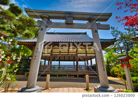 綠意盎然的常宮神社 綠意盎然的常宮神社 126023800