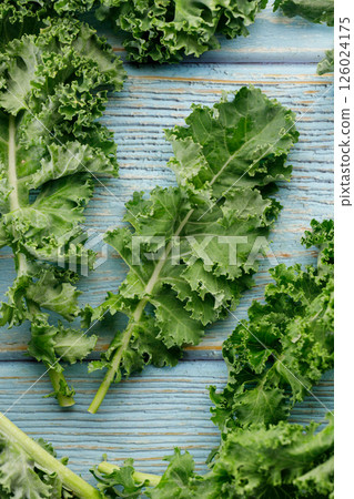 Fresh green Kale leaf salad vegetable on blue wooden background. 126024175