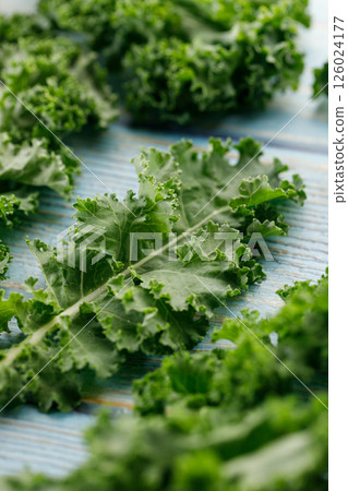 Fresh green Kale leaf salad vegetable on blue wooden background. 126024177