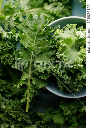 Fresh green Kale leaf salad vegetable in ceramic bowl on blue wooden background. 126024193