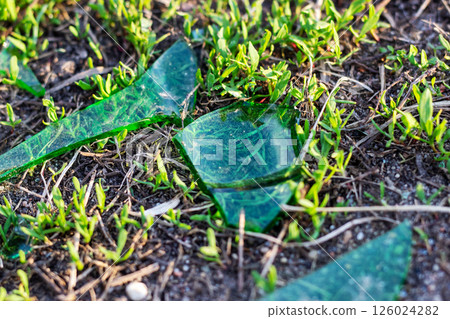 A broken green glass bottle lies on the ground in the grass 126024282