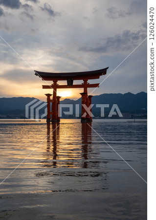 Famous red torii gate of Itsukushima shrine at sunset in Miyajima, Japan Famous red torii gate of Itsukushima shrine at sunset in Miyajima, Japan 126024470