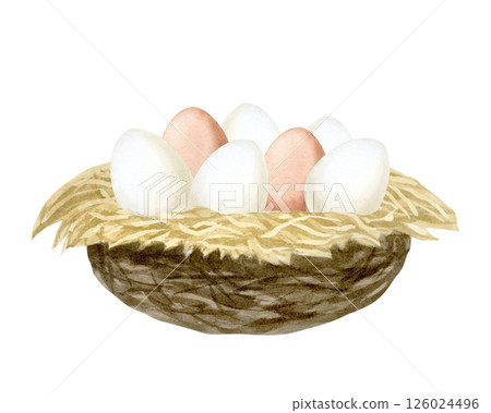 Watercolor white and brown eggs in hay nest watercolor isolated illustration. Farm natural goods clip art for countryside and village designs and Easter greeting cards 126024496