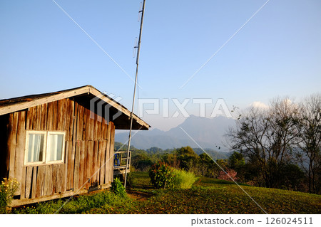 Rusty wooden house on hill with Doi Luang Chiangdao mountain with cloud and blue sky view in Chiangmai of Thailand. Destination travel 126024511