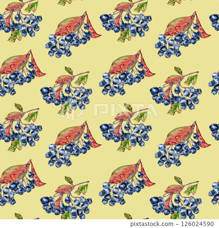 Black chokeberry botanical pattern with watercolor aronia berries, foliage isolated on beige. Autumn berries repeated background hand painted for kitchen linens, stationery, fabric cottagecore style. Black chokeberry botanical pattern with watercolor aronia berries, foliage isolated on beige. Autumn berries repeated background hand painted for kitchen linens, stationery, fabric cottagecore style. 126024590