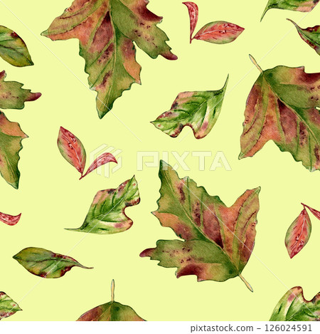 Watercolor autumn red green leaves seamless pattern isolated on white. Colorful fall leaves of maple, hawthorn, viburnum tree hand drawn in botanical sketch. Foliage repeat background painted design. 126024591