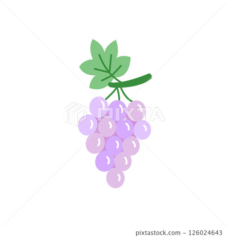 Cute hand drawn illustration of a bunch of grapes. Purple cartoon fruit with a fun and playful style. Great for kids designs, food projects and packaging. 126024643