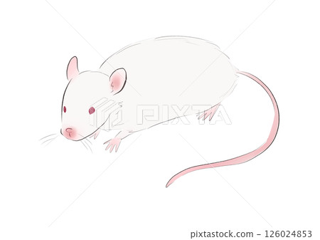 mouse   126024853