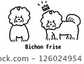 Smiling Bichon Frise 126024954