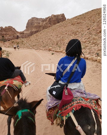 約旦佩特拉的驢子 126024968