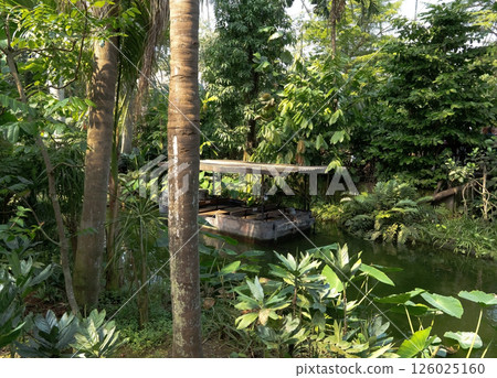 A small wooden boat floats along a quiet river surrounded by dense tropical vegetation. Lianas hang over the water, and the jungle is reflected in the smooth surface of the river, creating an atmosphe A small wooden boat floats along a quiet river surrounded by dense tropical vegetation. Lianas hang over the water, and the jungle is reflected in the smooth surface of the river, creating an atmosphe 126025160