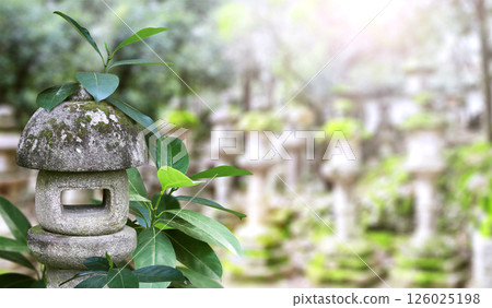 Old stone lantern at Kasuga Grand Shrine, Nara Japan. Picturesque landscape with ancient japanese lantern in Kasuga-Taisha Shrine. Topic of vacation, travel, trip abroad on vacation, cruises and tours 126025198