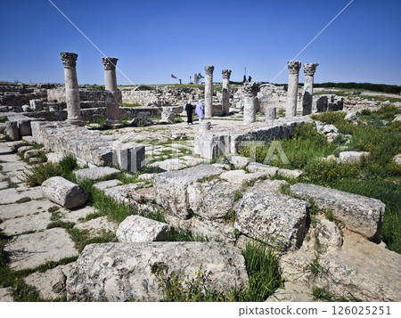 安曼的赫拉克勒斯神廟 126025251