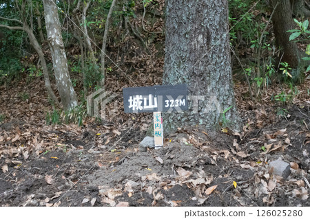 城山(六甲山)山頂 城山(六甲山)山頂 126025280