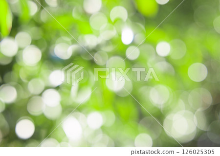 Ball bokeh texture 126025305