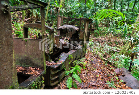 An old rusted locomotive sits abandoned and partially reclaimed by dense tropical jungle in Palau on Babeldaob Island, surrounded by ferns, palms, and damp forest floor in a humid and remote setting 126025402