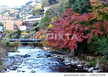湯河原町千歲川、明亮的秋葉和住宿 湯河原町千歲川、明亮的秋葉和住宿 126025544