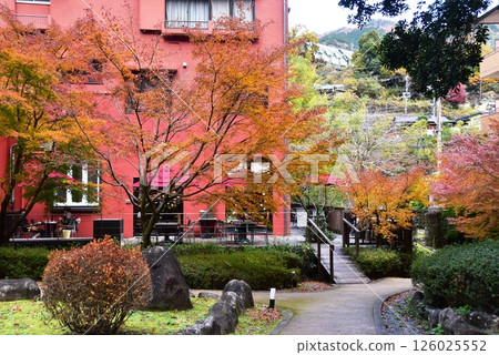 Yugawara Town: Cafe terrace and autumn leaves in the garden of the Yugawara Museum of Art Yugawara Town: Cafe terrace and autumn leaves in the garden of the Yugawara Museum of Art 126025552