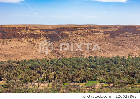 Oasis in the valley of the Western Sahara desert. Morocco. 126025862