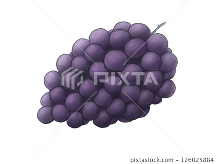Grape  126025884