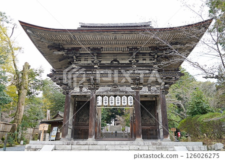 Shiga, Otsu, Miidera (Onjoji), Daimon (Niomon) (late spring) 126026275
