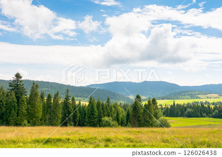 carpathian mountain landscape with cloudy sky in summer. scenic view of the countryside for hiking. wonderful rural area on a sunny day 126026438