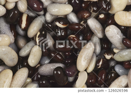 Rehydrated beans Rehydrated beans 126026596