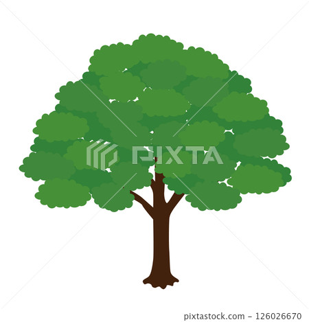 Illustration of a zelkova tree 126026670