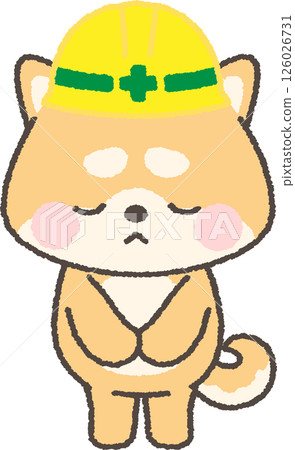 A brown Shiba Inu wearing a yellow helmet bowing apologetically 126026731