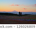 Mother Farm Winter Illumination "Garden of Light" illuminated with Mt. Fuji 126026809