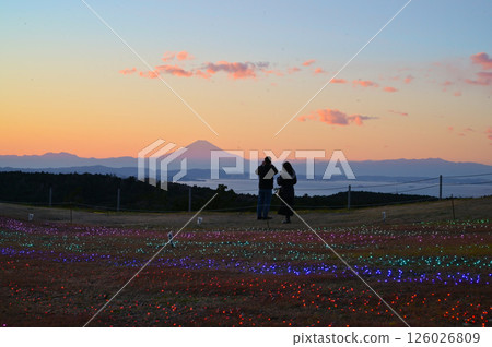 Mother Farm Winter Illumination "Garden of Light" illuminated with Mt. Fuji 126026809