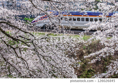 櫻花和新幹線 櫻花和新幹線 126026845