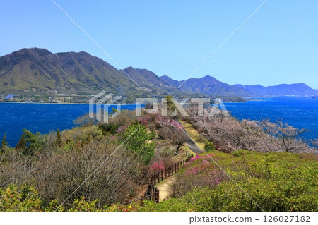 [Ehime Prefecture] Cherry blossoms bloom in spring at Hakatajima Kaizan Park (Shimanami Kaido) 126027182