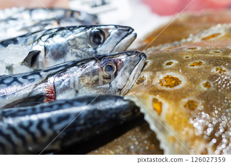 A collection of fish is neatly arranged and lined up on a table A collection of fish is neatly arranged and lined up on a table 126027359