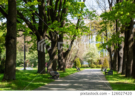 A person is peacefully sitting on a bench in a park surrounded by lush trees 126027420