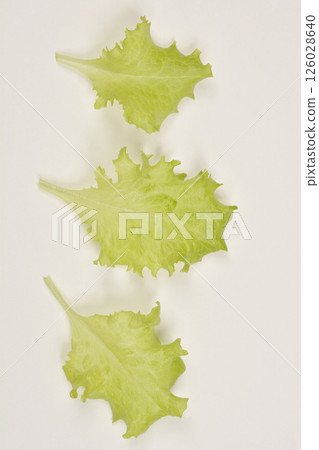 Fresh lettuce leaves 126028640