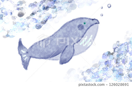 Whale watercolor 126028691