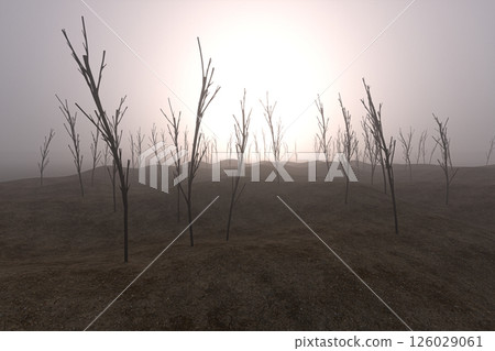 bare, tranquil, somber 126029061