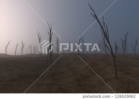 bare, tranquil, somber 126029062