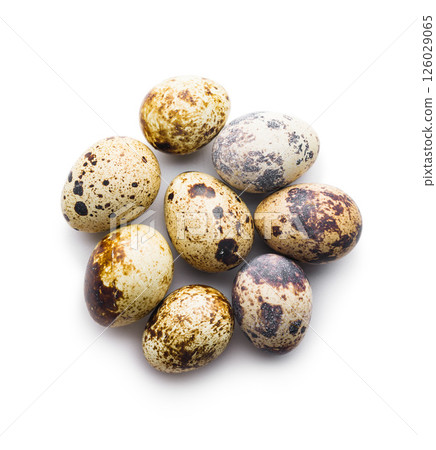 Spotted quail eggs isolated on white background. 126029065