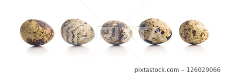 Spotted quail eggs isolated on white background. 126029066
